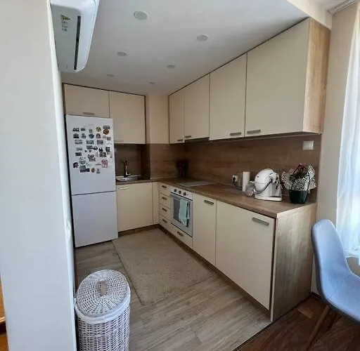 Cozy And Bright * ソフィア