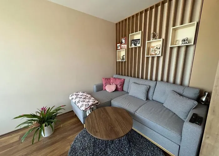 Cozy And Bright Sofia